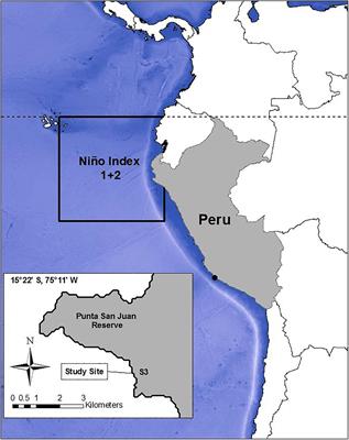 Peruvian Fur Seals as Archivists of El Niño Southern Oscillation Effects